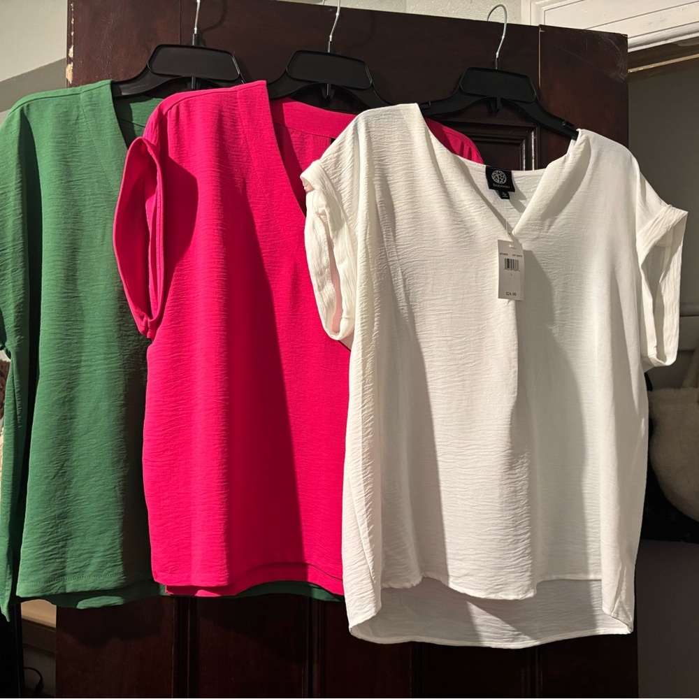 bobeau Textured V-Neck Short Sleeve Blouse in White, Hot Pink & Green